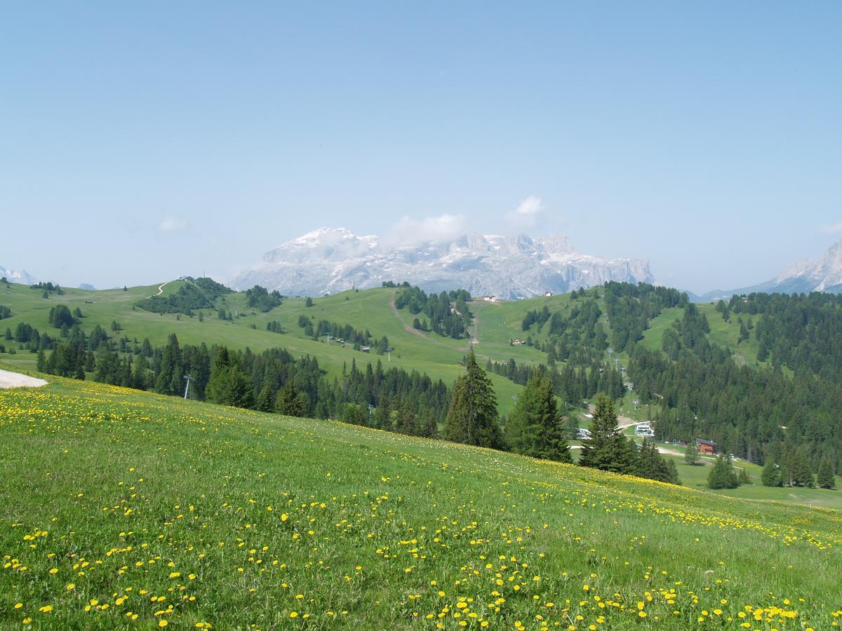 Residence Vajolet San Cassiano Exterior foto